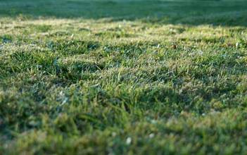 Thumbnail von Kapitalanlage Grundstück in Berlin-Teltow