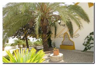 Thumbnail von Immogold Oliven Finca mit ca. 2.000.000 m² Grundstück und Pool