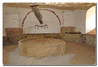 Thumbnail von Immogold Oliven Finca mit ca. 2.000.000 m² Grundstück und Pool