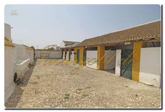 Thumbnail von Immogold Oliven Finca mit ca. 2.000.000 m² Grundstück und Pool