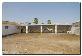 Thumbnail von Immogold Oliven Finca mit ca. 2.000.000 m² Grundstück und Pool