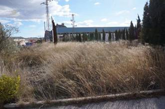 Thumbnail von Commerical Property For Sale in Sax, Alicante