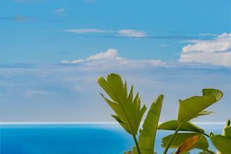 Thumbnail von Santa Clara Villa ES134120