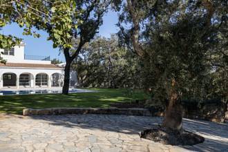 Thumbnail von Sotogrande Villa ES134213