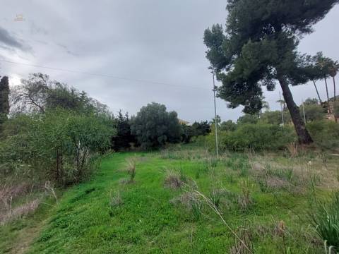  Nagüeles Land ES133869