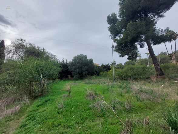  Nagüeles Land ES133869