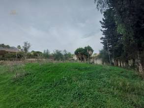 Thumbnail von Nagüeles Land ES133870