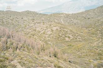 Thumbnail von Apartment For Sale in Mijas Costa, Málaga