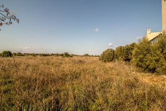 Thumbnail von Land For Sale in Manacor, Baleares