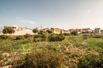 Thumbnail von Land For Sale in Manacor, Baleares