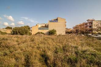 Thumbnail von Land For Sale in Manacor, Baleares