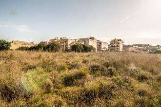 Thumbnail von Land For Sale in Manacor, Baleares
