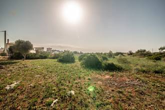 Thumbnail von Land For Sale in Manacor, Baleares