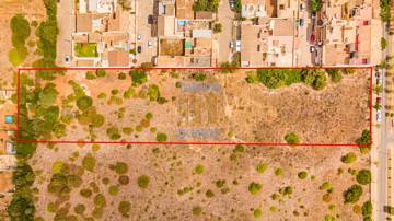 Thumbnail von Land For Sale in Manacor, Baleares