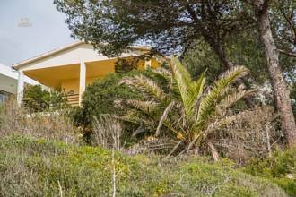 Thumbnail von Country House For Sale in Manacor, Baleares