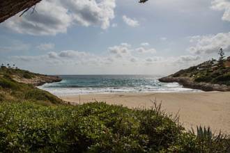 Thumbnail von Country House For Sale in Manacor, Baleares