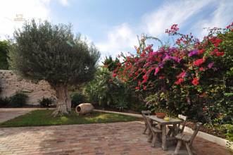 Thumbnail von Alicante City Villa ES127063