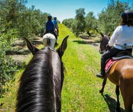 Thumbnail von Antequera Commercial Property ES124444