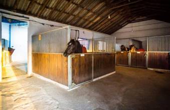 Thumbnail von Antequera Commercial Property ES124444