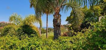 Thumbnail von Los Arqueros Villa ES91698