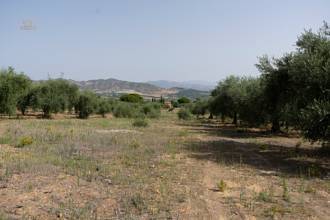Thumbnail von Land For Sale in Alhaurin de la Torre, Málaga