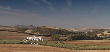 Thumbnail von Montellano Commercial Property ES133785