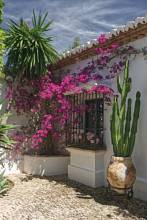 Thumbnail von Montellano Commercial Property ES133785