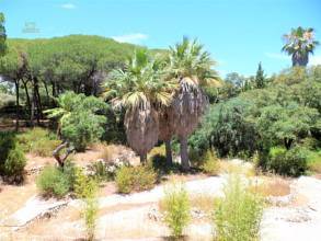 Thumbnail von Land For Sale in Las Chapas, Málaga