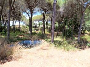 Thumbnail von Land For Sale in Las Chapas, Málaga