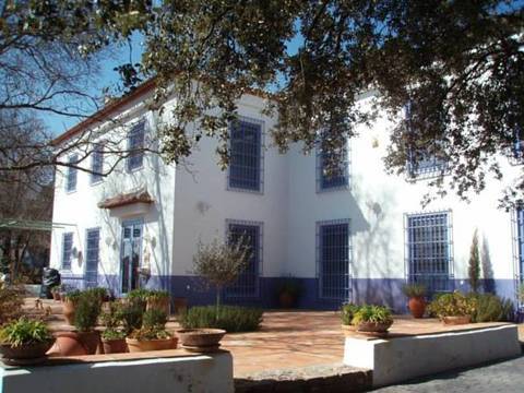 Other For Sale in Archidona, Málaga