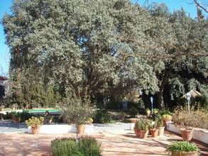 Thumbnail von Other For Sale in Archidona, Málaga