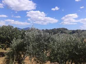 Thumbnail von Other For Sale in Archidona, Málaga