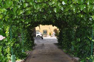 Thumbnail von Villena Villa ES127436