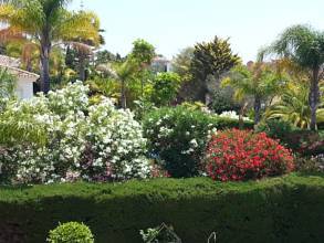 Thumbnail von Hacienda Las Chapas Villa ES91619