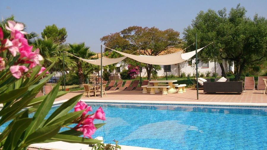 Other For Sale in Loro Del Rio, Sevilla