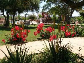 Thumbnail von Other For Sale in Loro Del Rio, Sevilla