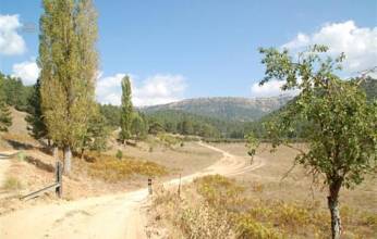 Thumbnail von Segura de la Sierra Other ES21994