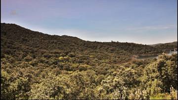 Thumbnail von Almodovar del Rio Finca ES21938