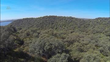 Thumbnail von Almodovar del Rio Finca ES21938