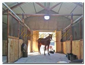 Thumbnail von Immogold Finca mit Wohnhaus, Pool und schönem Pferdestall in toller Lage