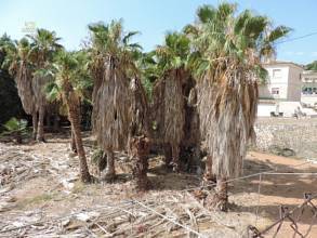 Thumbnail von Benissa Land ES135461