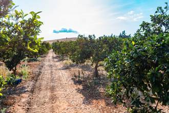 Thumbnail von Country House For Sale in Marratxi, Baleares