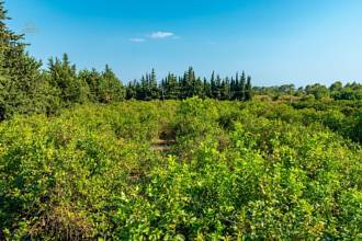 Thumbnail von Country House For Sale in Marratxi, Baleares