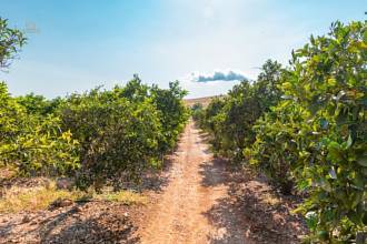 Thumbnail von Country House For Sale in Marratxi, Baleares