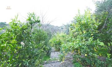 Thumbnail von Luxus-Villa in Monda R2818163