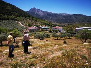 Thumbnail von Land For Sale in Periana, Málaga