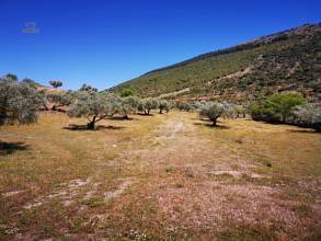 Thumbnail von Land For Sale in Periana, Málaga