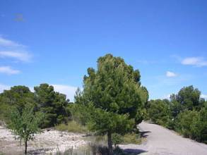 Thumbnail von Villa For Sale in Salinas, Alicante