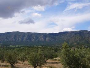 Thumbnail von Villa For Sale in Salinas, Alicante