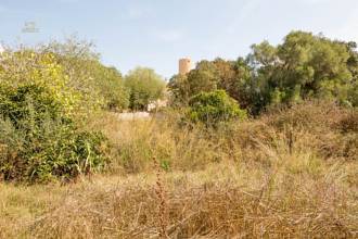Thumbnail von Commercial Property For Sale in Capdepera, Baleares